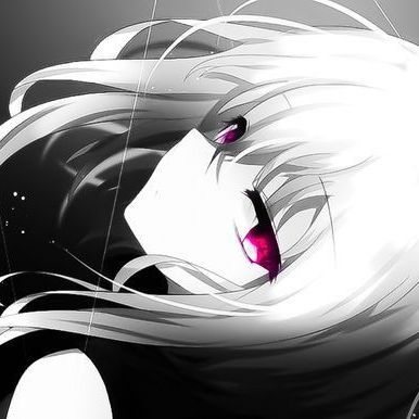 s1ner-