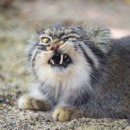 manuL6913 avatar