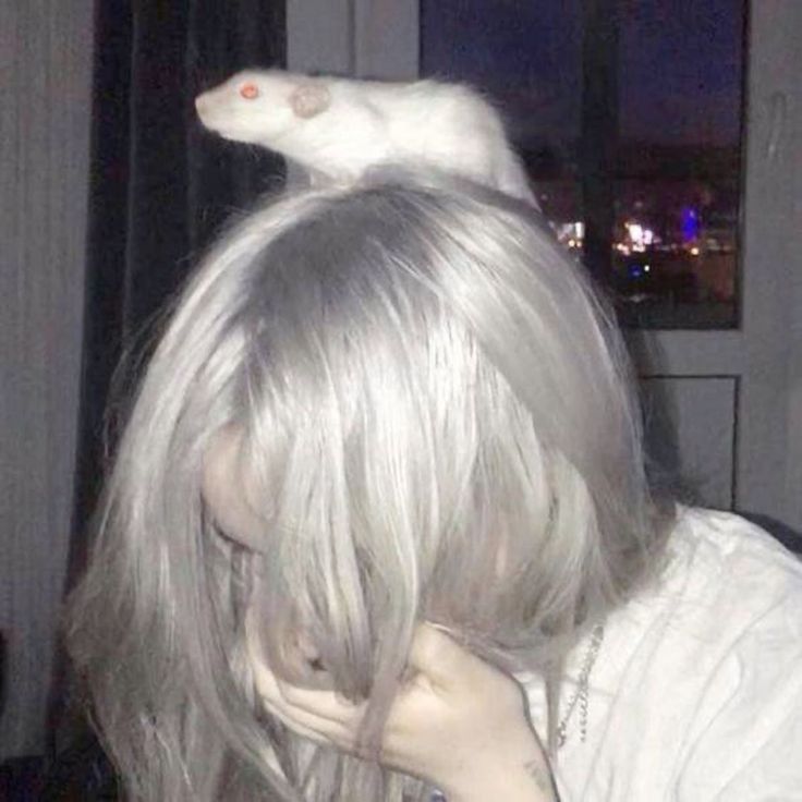 L1S0N0K
