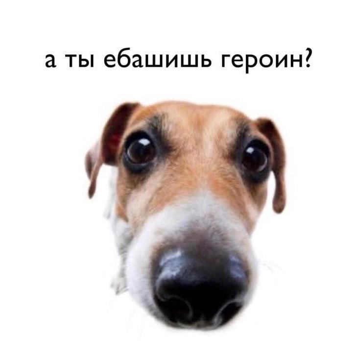 szxtwetrydtq avatar