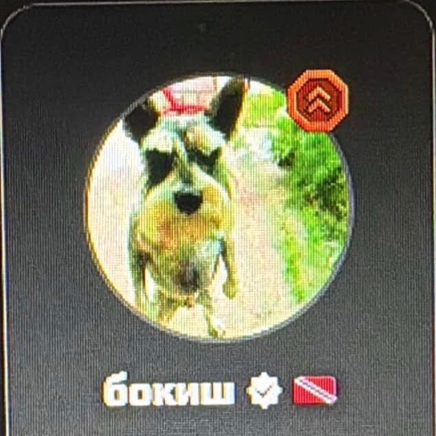 bokysha