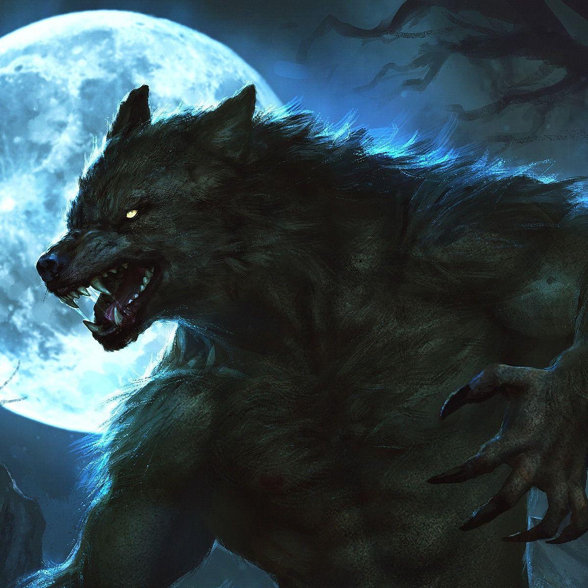 X_Werewolf_X avatar