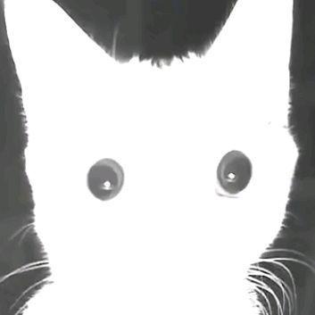 Insomniv
