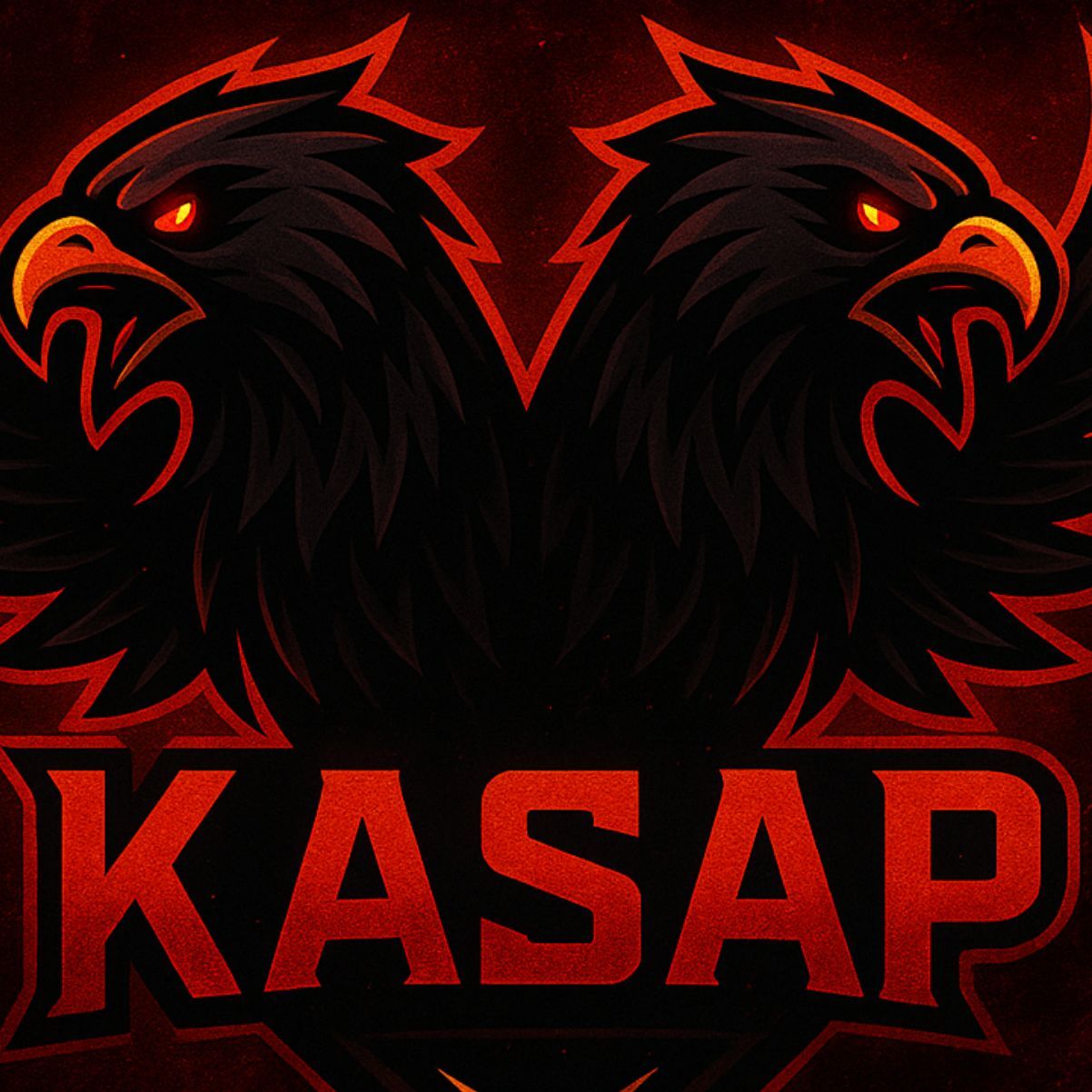 team_xKasap__
