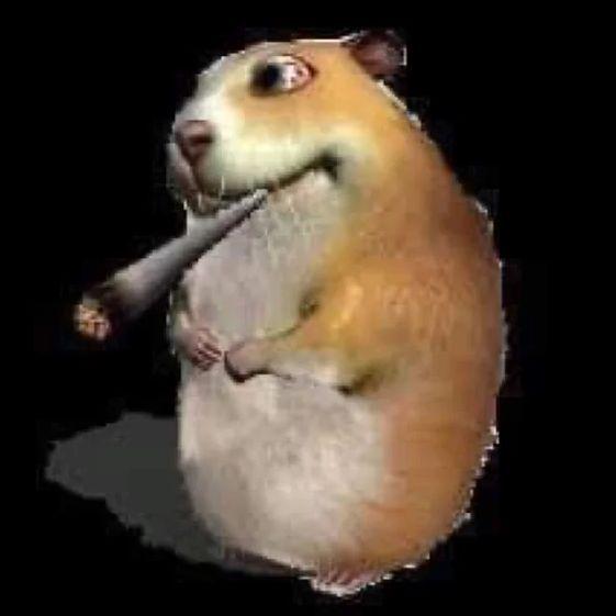 -SzczupaQ- avatar