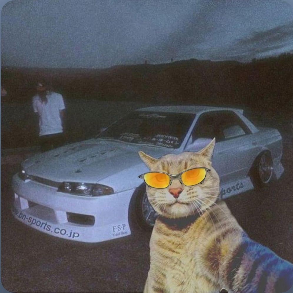 roton1a avatar