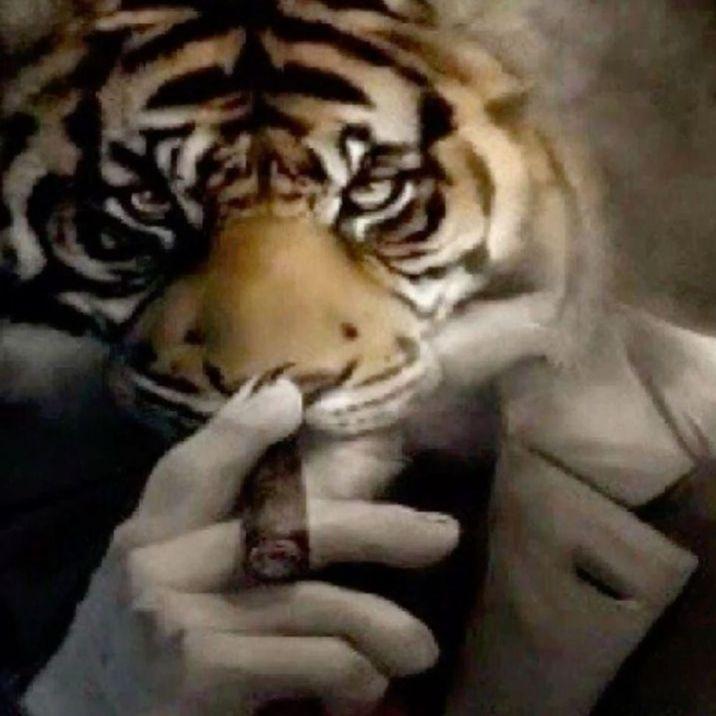 muteeveryone avatar