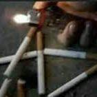 Kunchik_zxc avatar