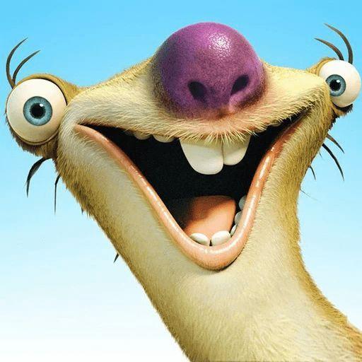vladcbr avatar