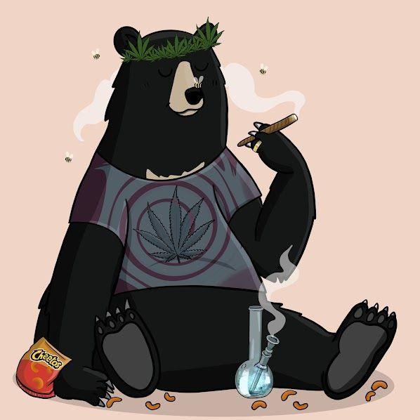 Berachain avatar
