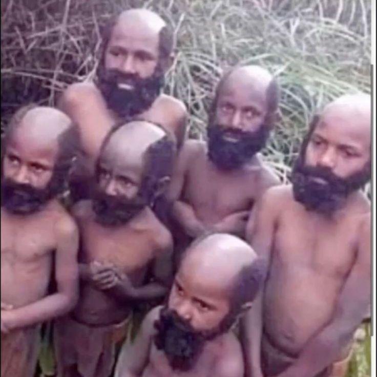 Nasqis avatar