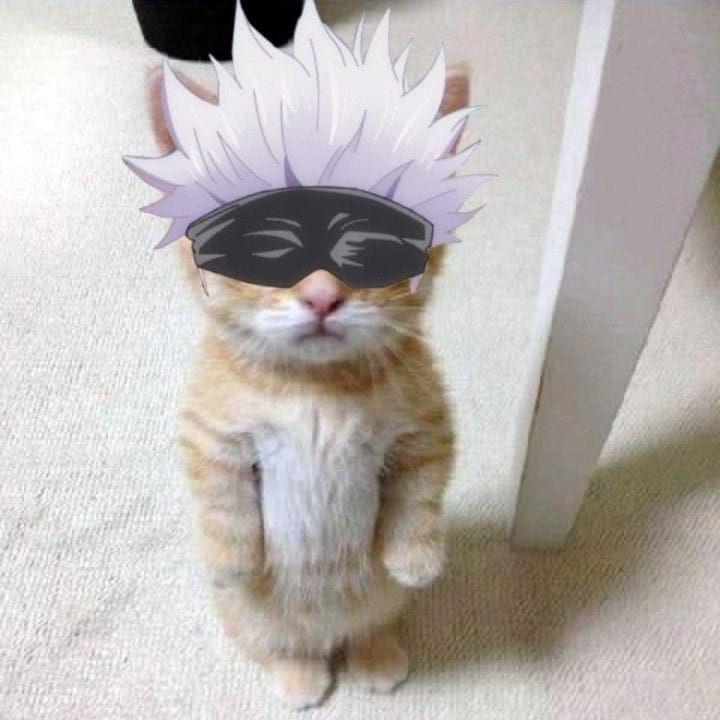 iva0 avatar