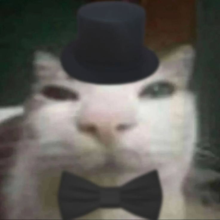 Sid193