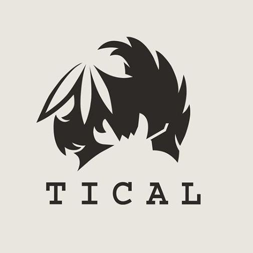 Player -tiCal avatar