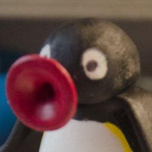 Pingu_2K22 avatar