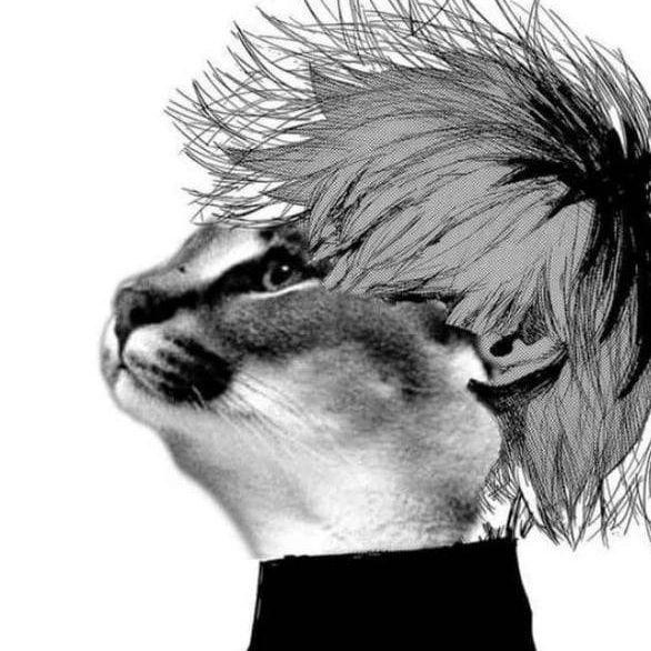 beIIyash avatar