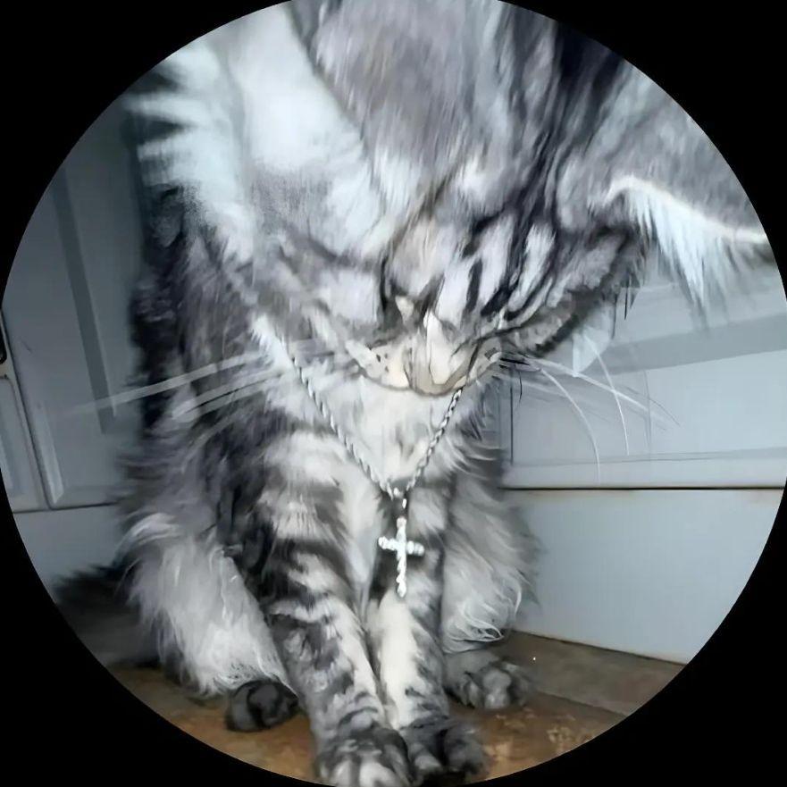 666_420_69 avatar