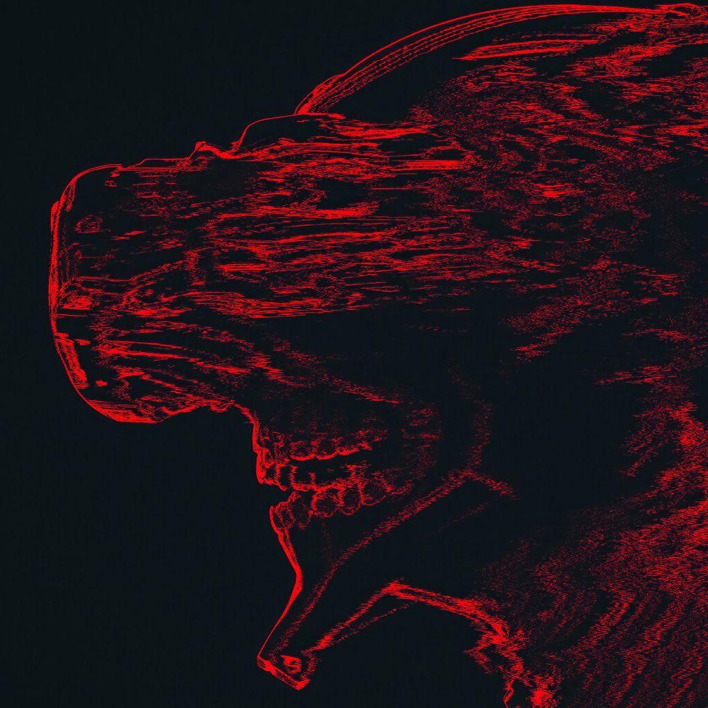 KaiFalo avatar