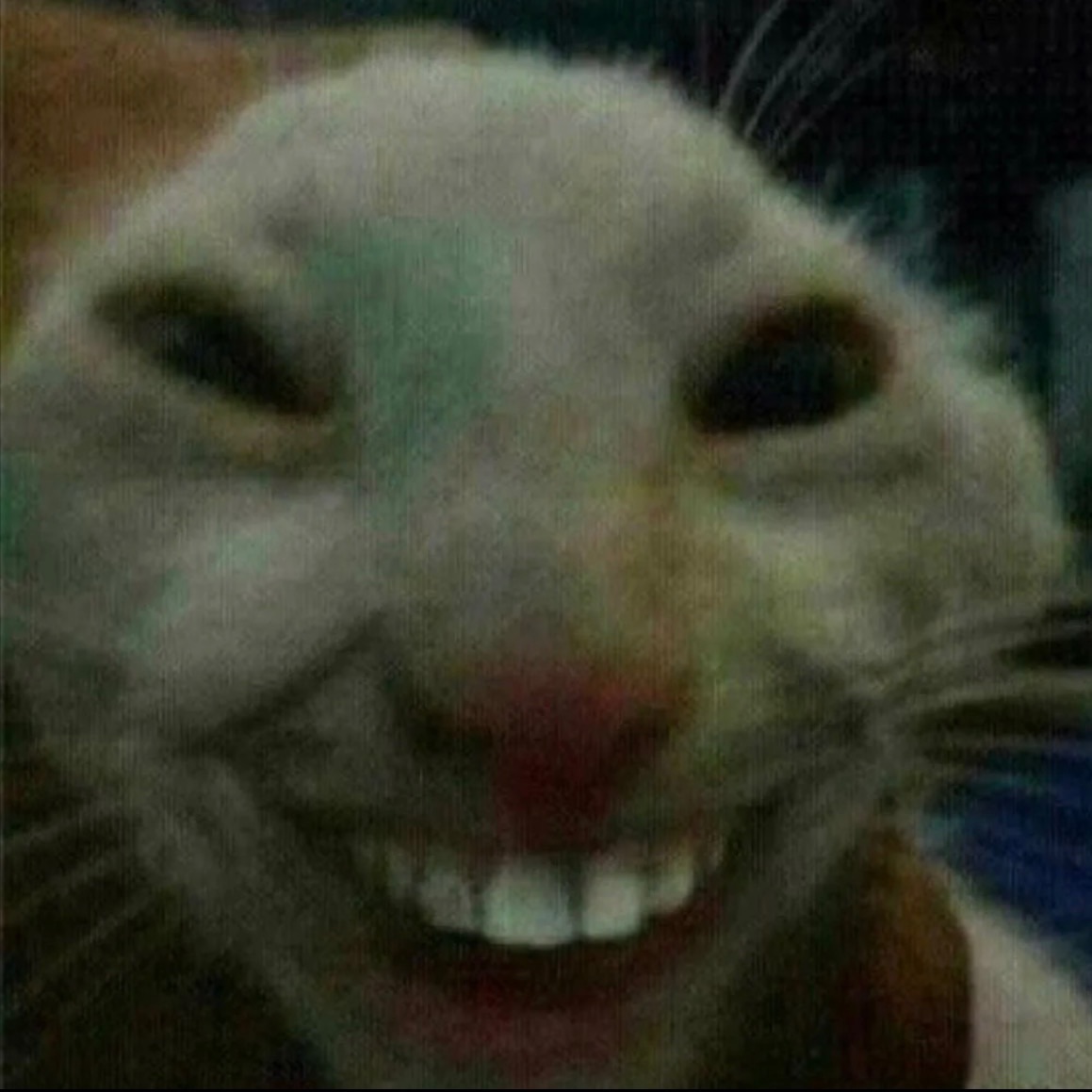 Eblushhhha