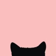 the_february