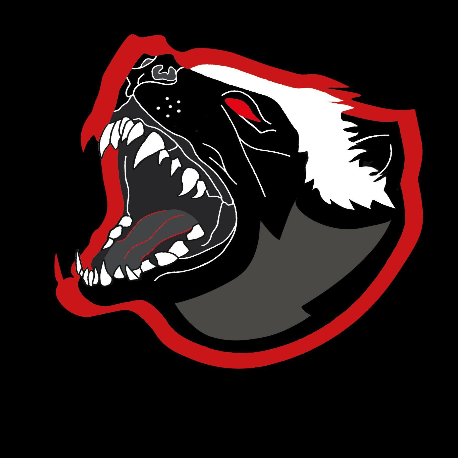 H0n3yBadgerr