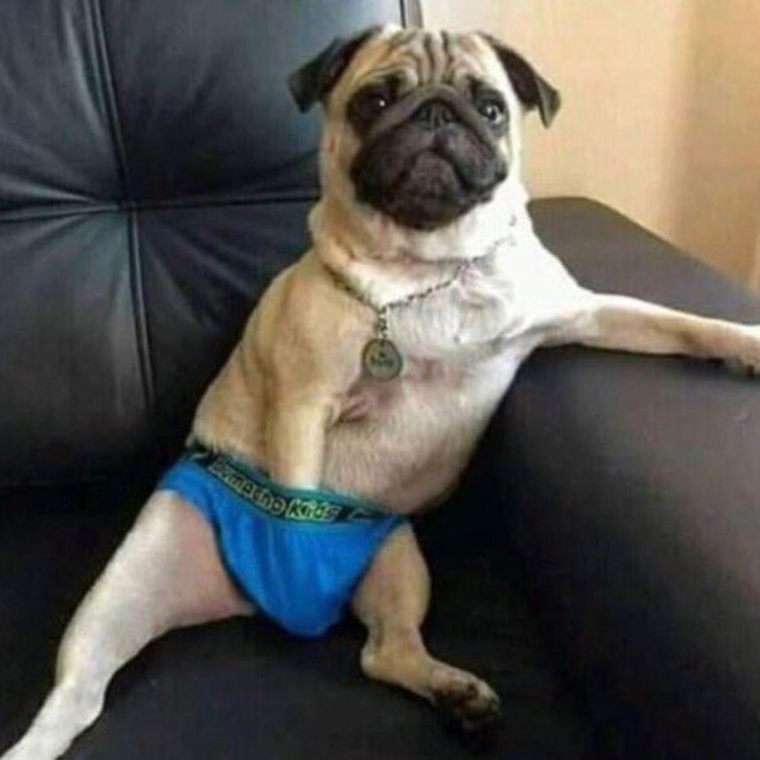 slashitoo avatar