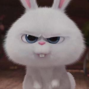 ZayacDaily avatar