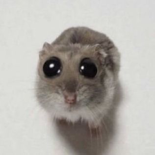 J-TonY