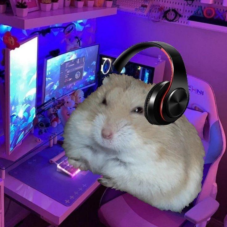 Mr_Ham avatar