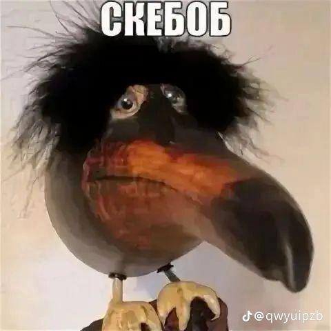 1HeNt_1 avatar