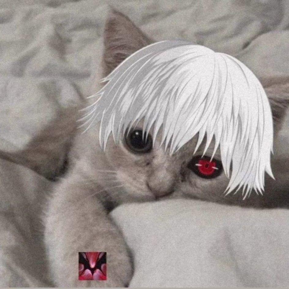 VLAD1K_BAKIN avatar