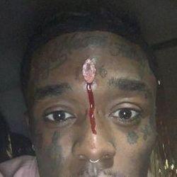amigoimp avatar