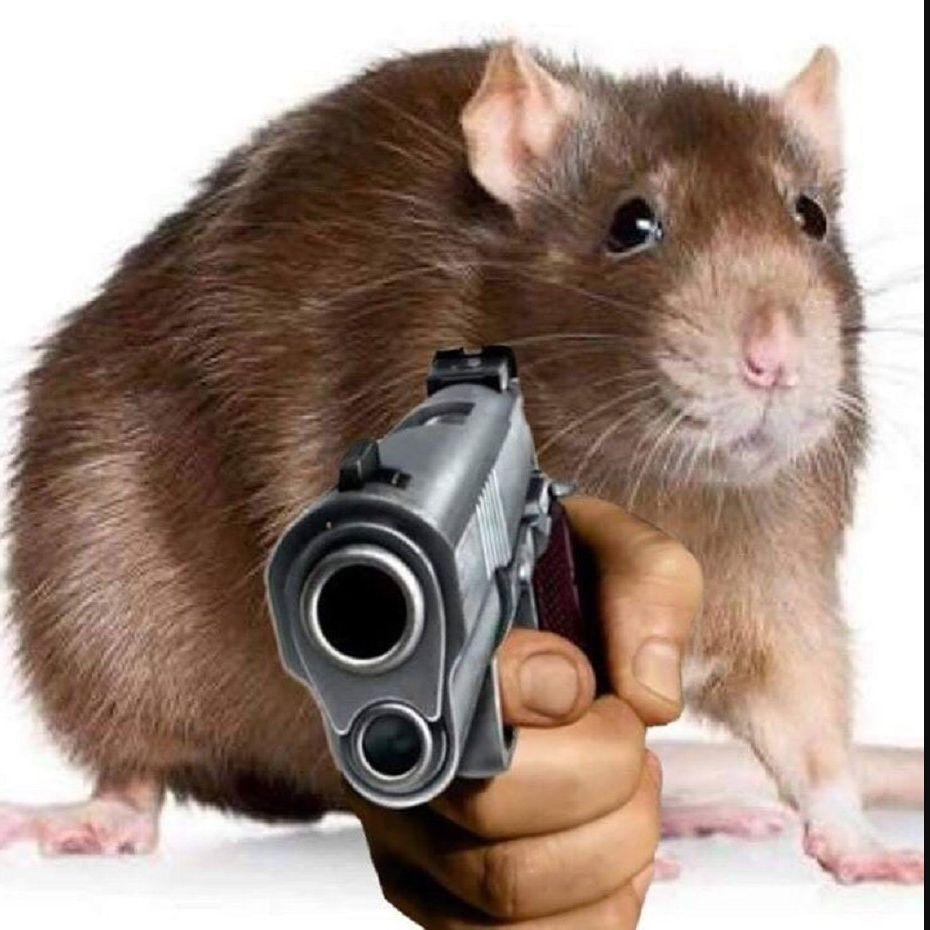mrKRiSkA avatar