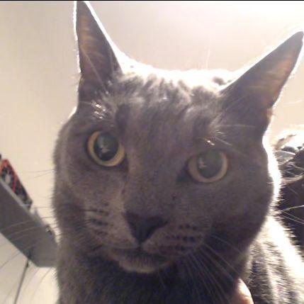 Bzurgerznezs avatar