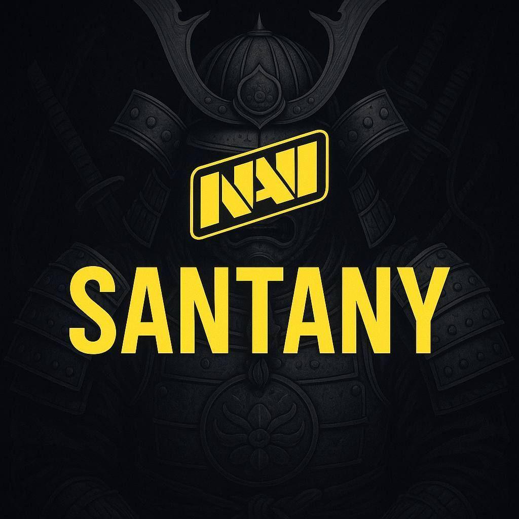 san7any avatar