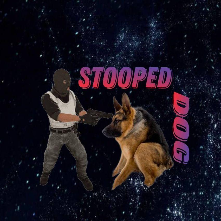 Stooped_Dog avatar