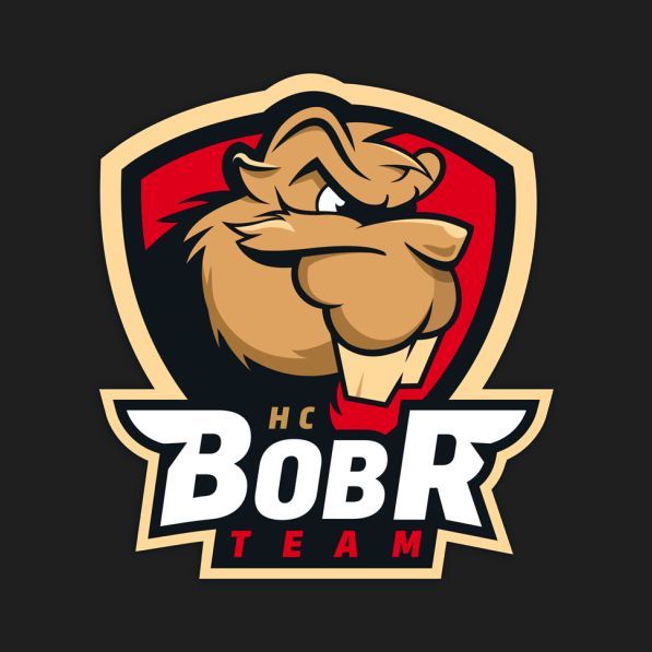 BoBeR TeaM