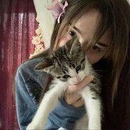 tiredxdxd avatar