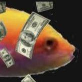 Player money_fish avatar