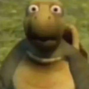 YTFoxy avatar