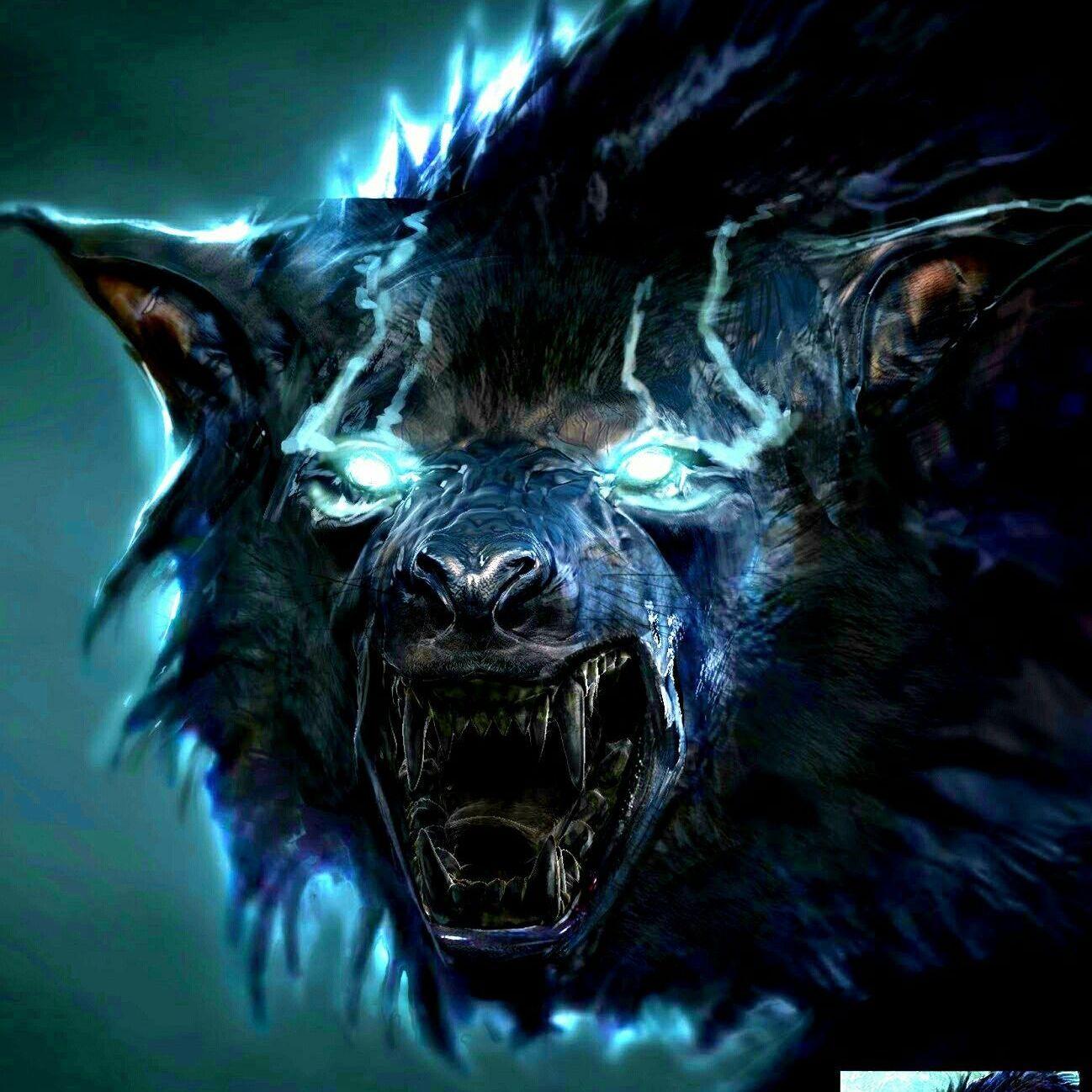 Stoned_Wolf avatar