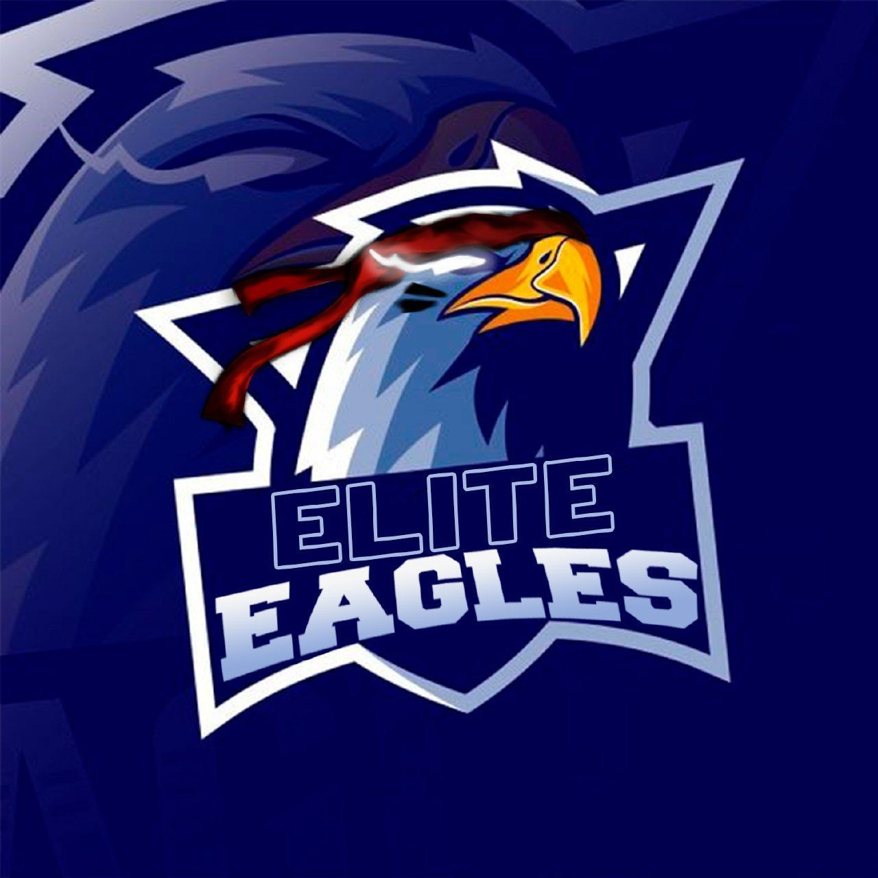 Elite Eagles