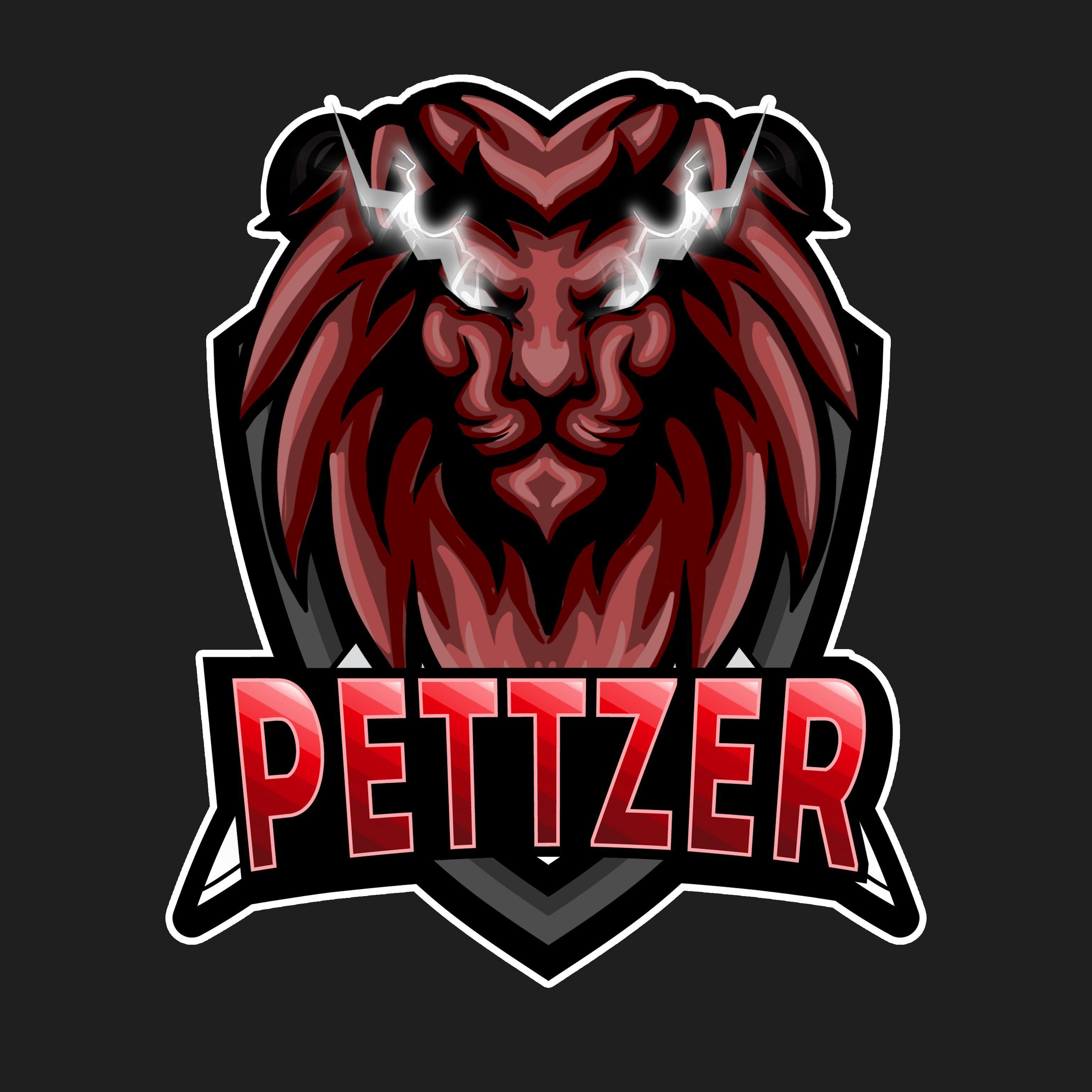 Pettzer avatar