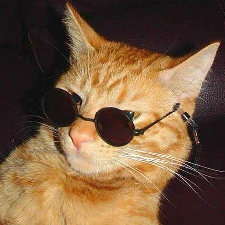 Tor1syy0 avatar
