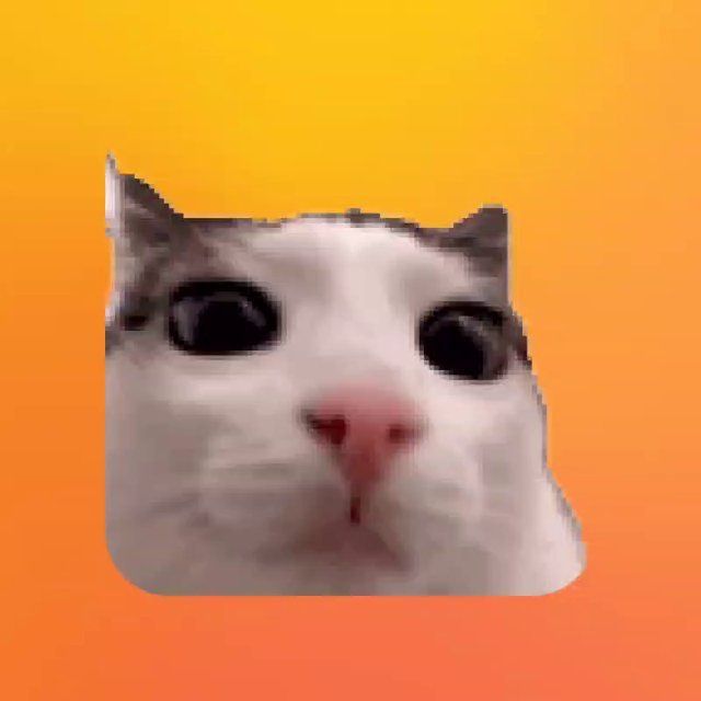 Ttitlee_