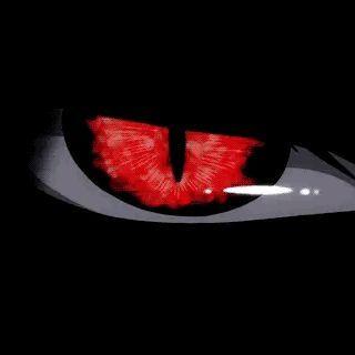 lierrr1zo avatar