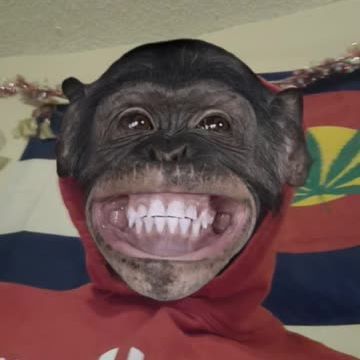 BOT666_