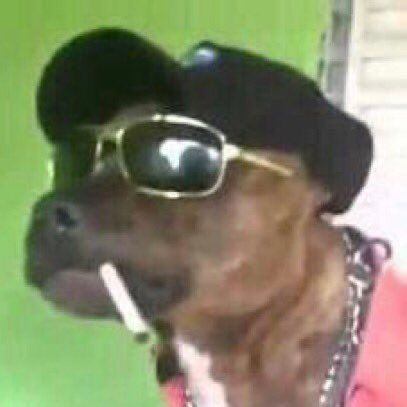 mindoza FACEIT avatar