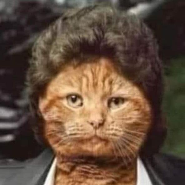ZOHAN236 avatar