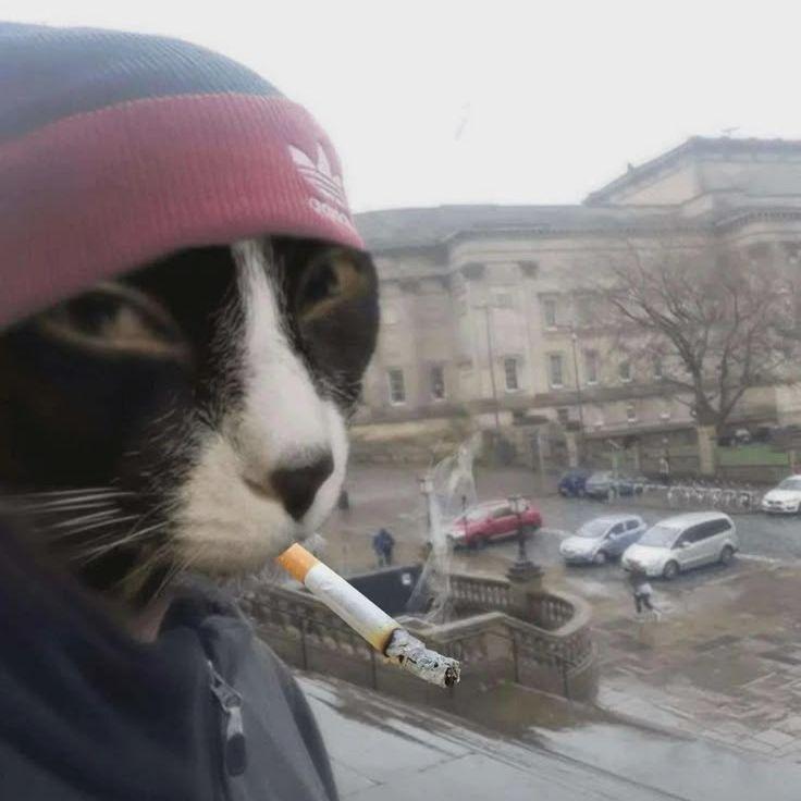 Expencee avatar